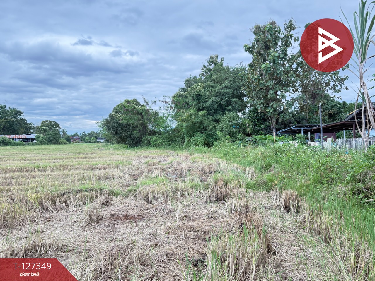 ขายที่ดินที่นา เนื้อที่ 4 ไร่ 3 งาน 62 ตารางวา สันกำแพง เชียงใหม่ 11