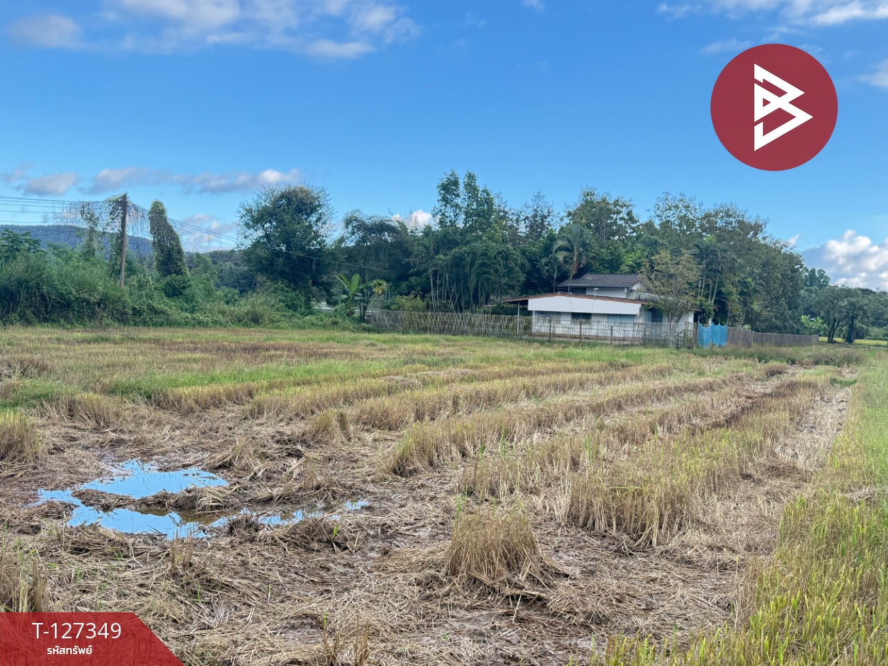 ขายที่ดินที่นา เนื้อที่ 4 ไร่ 3 งาน 62 ตารางวา สันกำแพง เชียงใหม่ 4