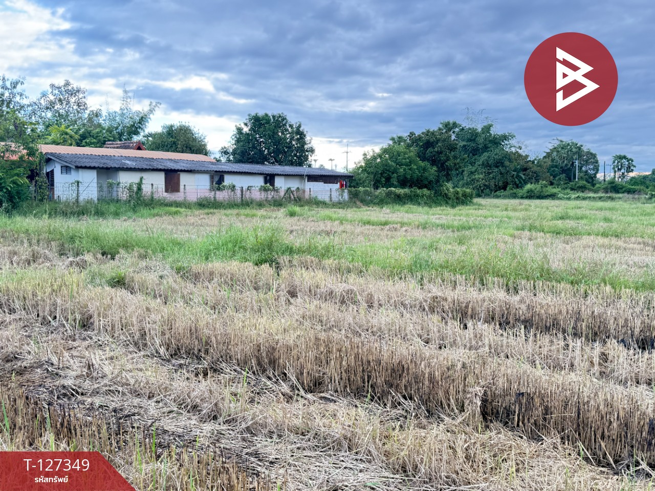 ขายที่ดินที่นา เนื้อที่ 4 ไร่ 3 งาน 62 ตารางวา สันกำแพง เชียงใหม่ 9