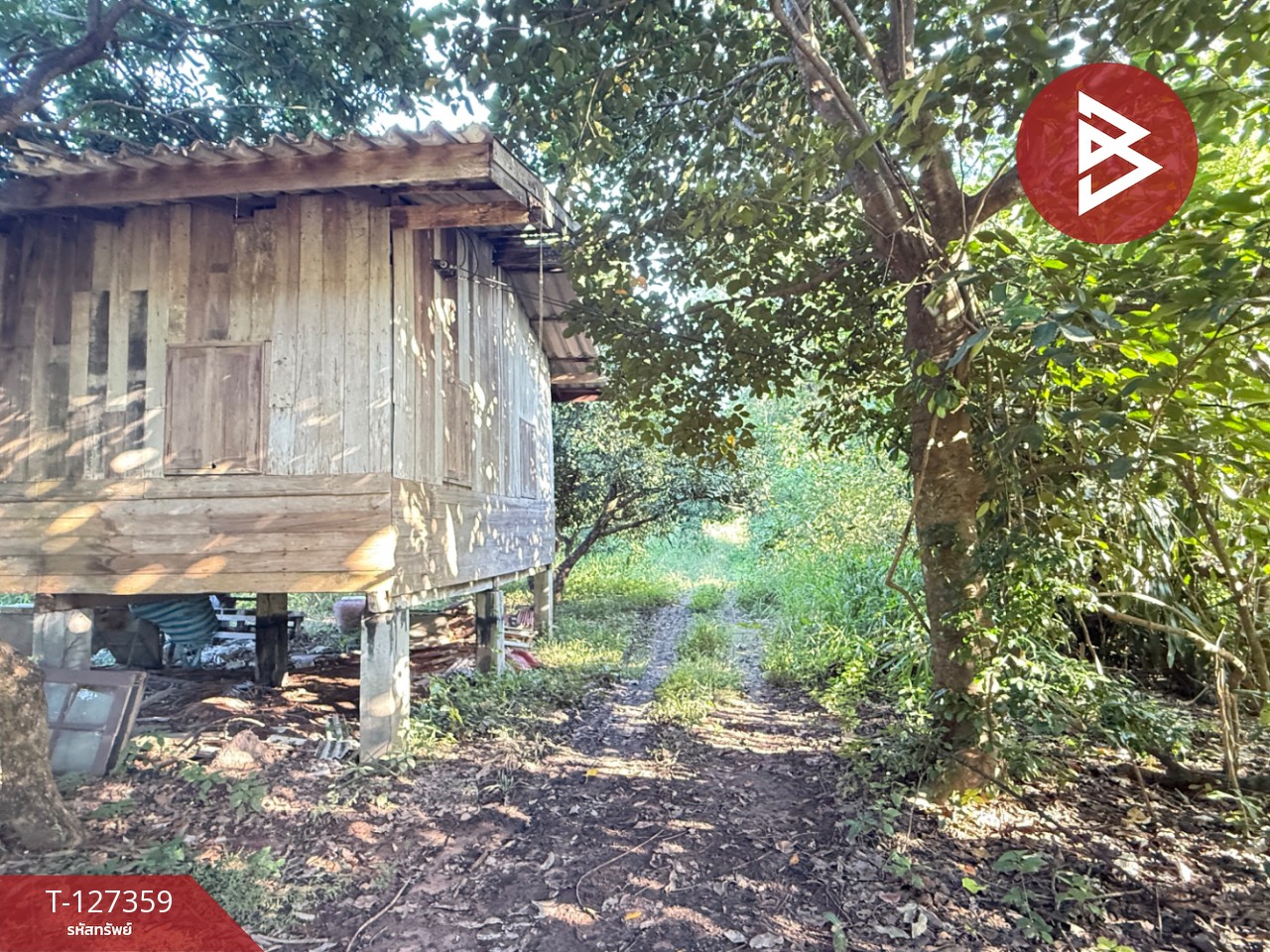 ขายที่ดินสวนลำไย เนื้อที่ 8 ไร่ 8 ตารางวา ต.ป่าสัก เมืองลำพูน 4