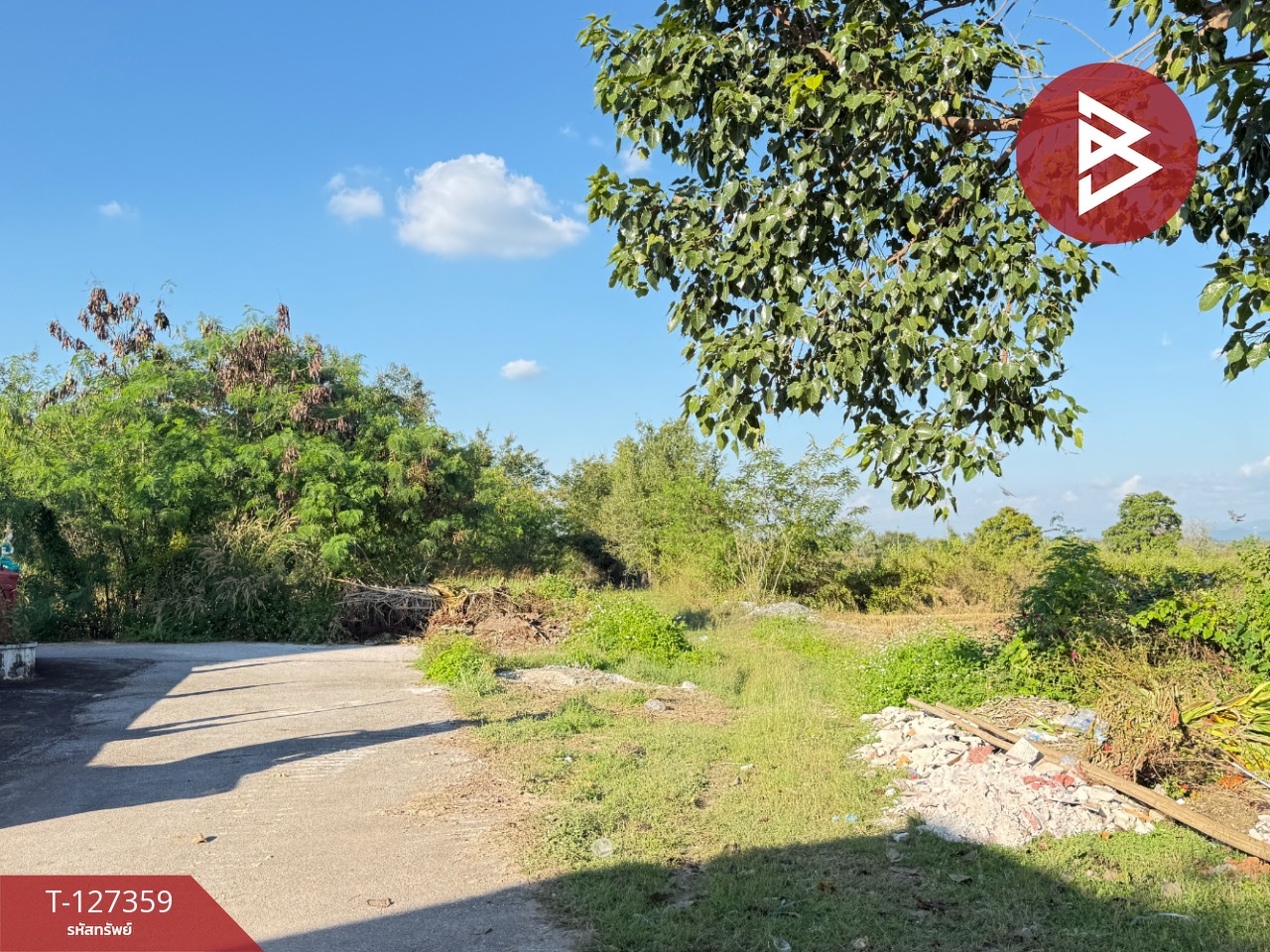 ขายที่ดินสวนลำไย เนื้อที่ 8 ไร่ 8 ตารางวา ต.ป่าสัก เมืองลำพูน 1