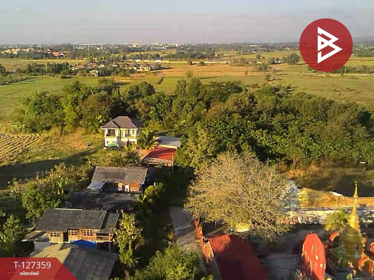 ขายที่ดินสวนลำไย เนื้อที่ 8 ไร่ 8 ตารางวา ต.ป่าสัก เมืองลำพูน 2