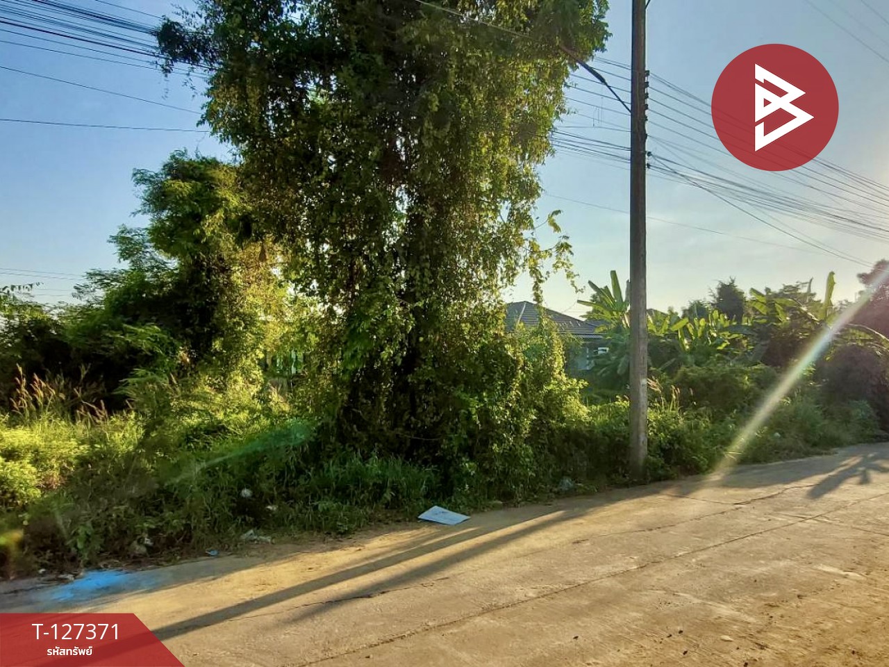 ขายที่ดิน พื้นที่ 112.8 ตารางวา หัวรอ เมืองพิษณุโลก 5