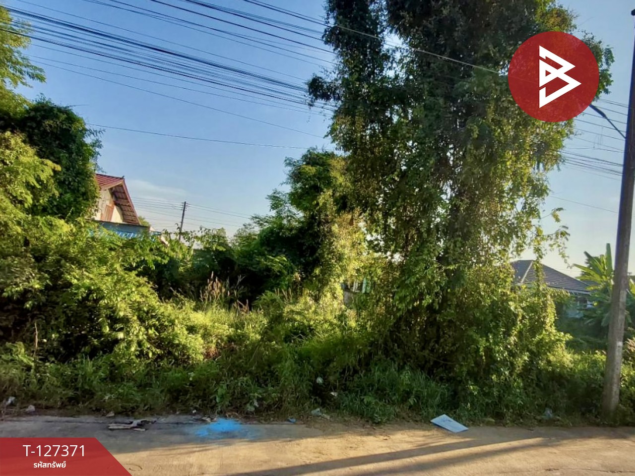 ขายที่ดิน พื้นที่ 112.8 ตารางวา หัวรอ เมืองพิษณุโลก 3