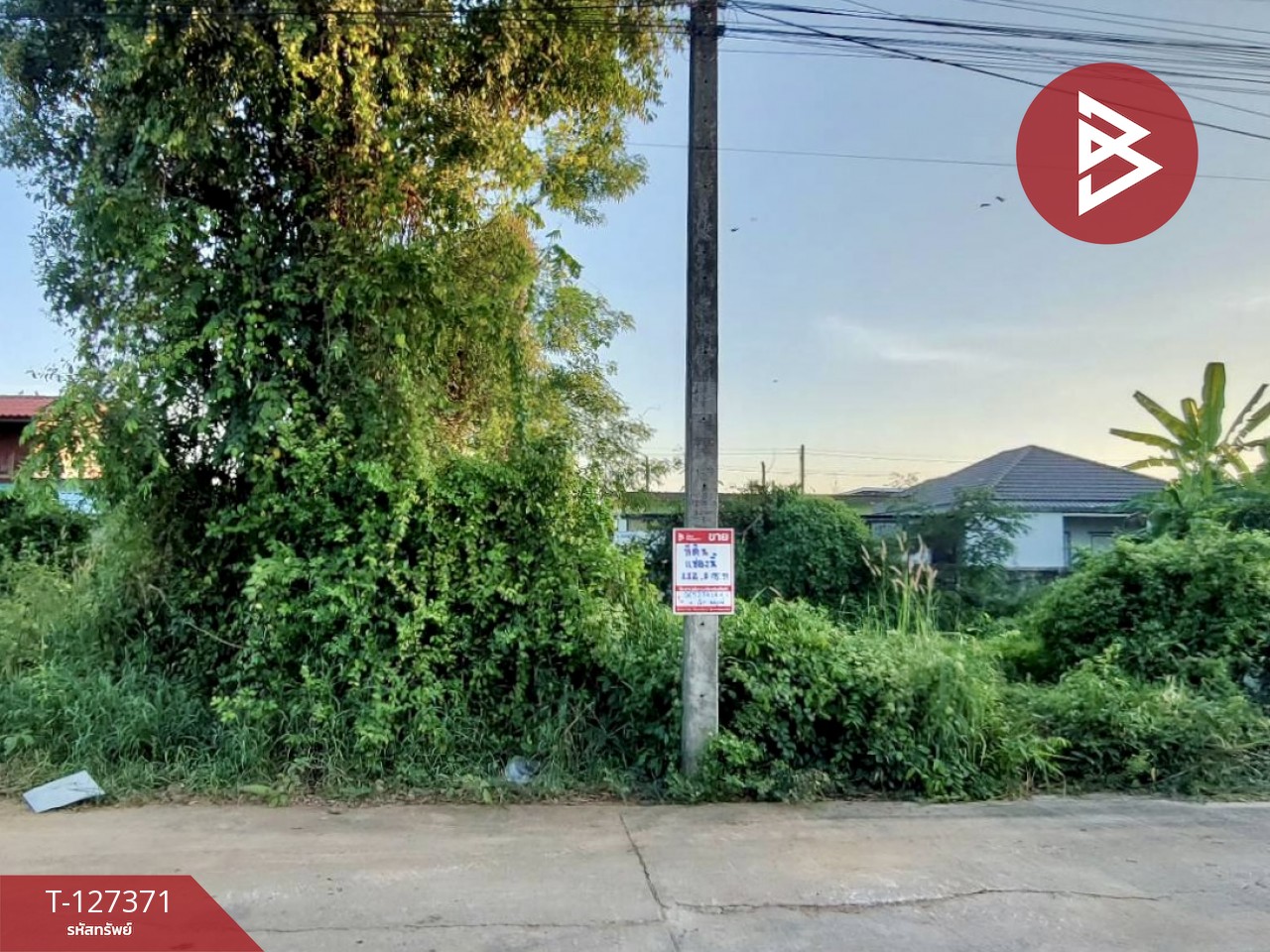 ขายที่ดิน พื้นที่ 112.8 ตารางวา หัวรอ เมืองพิษณุโลก 2