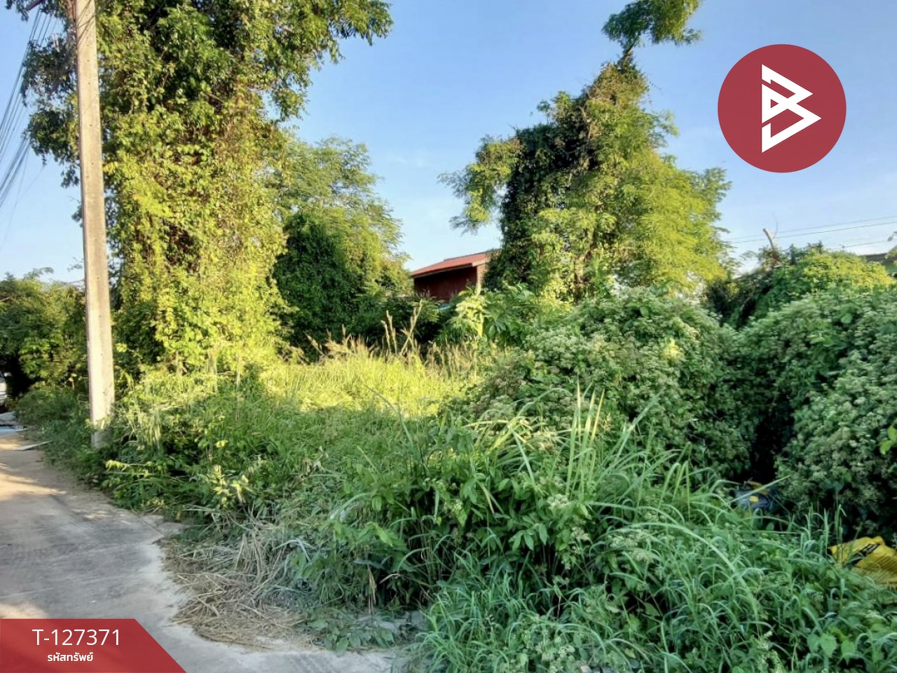 ขายที่ดิน พื้นที่ 112.8 ตารางวา หัวรอ เมืองพิษณุโลก 8