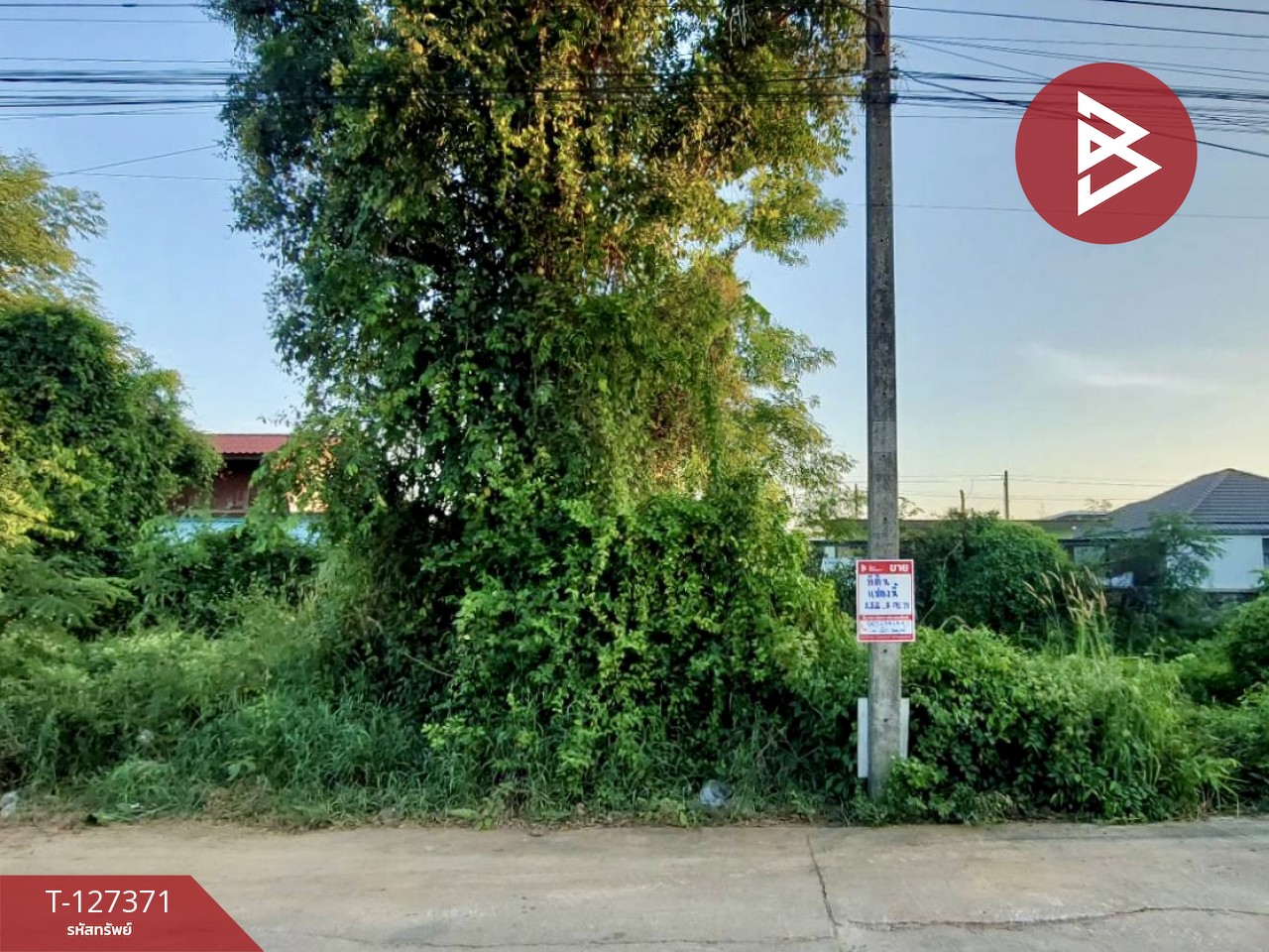 ขายที่ดิน พื้นที่ 112.8 ตารางวา หัวรอ เมืองพิษณุโลก 6