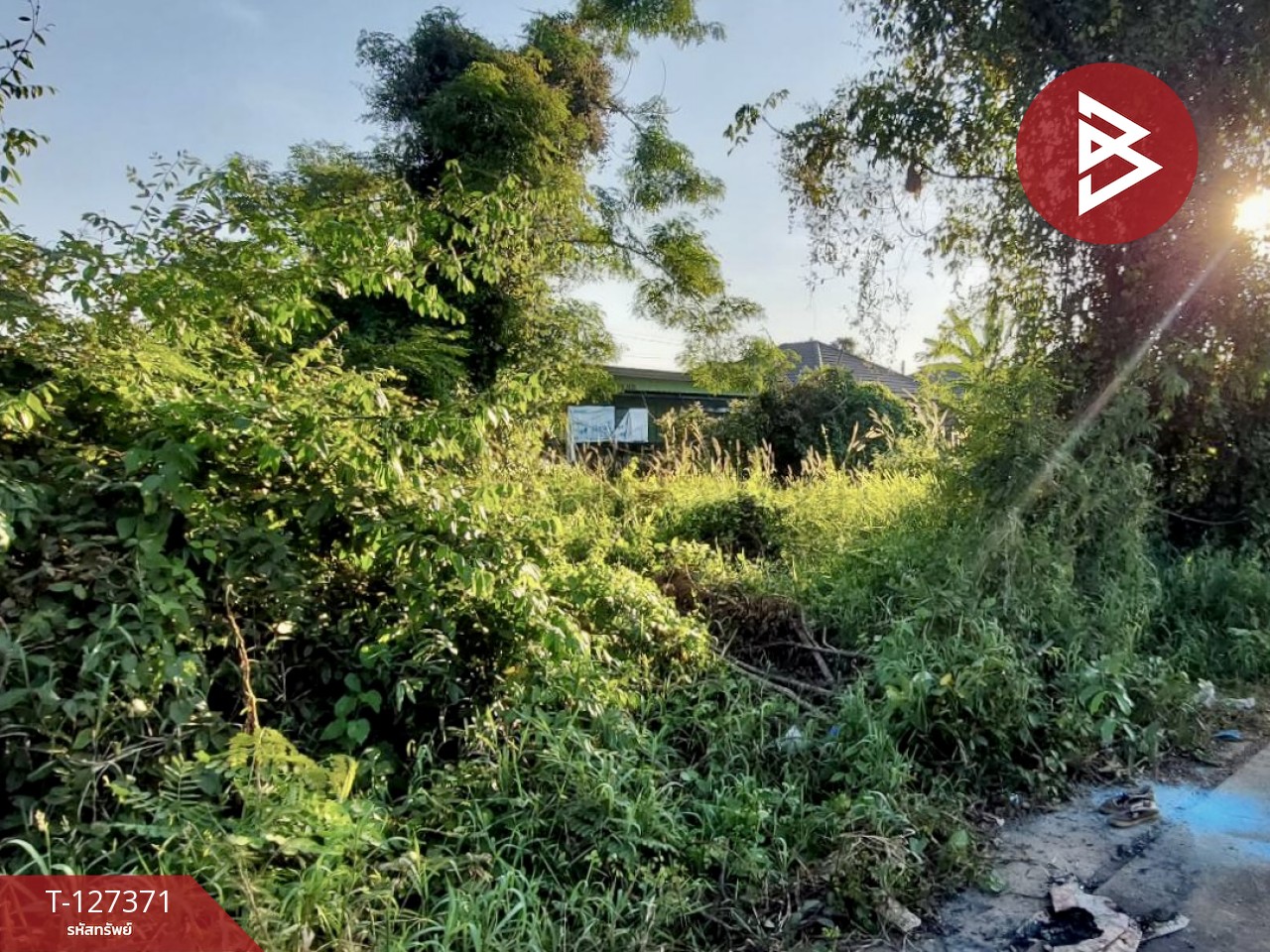 ขายที่ดิน พื้นที่ 112.8 ตารางวา หัวรอ เมืองพิษณุโลก 9