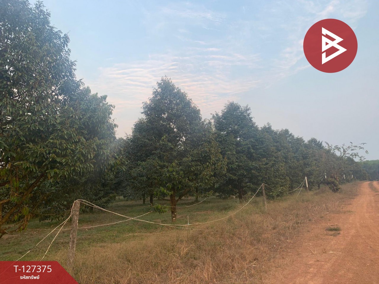 ขายที่ดิน เนื้อที่ 25 ไร่ 3 งาน 62 ตร.วา ขลุง จันทบุรี 3