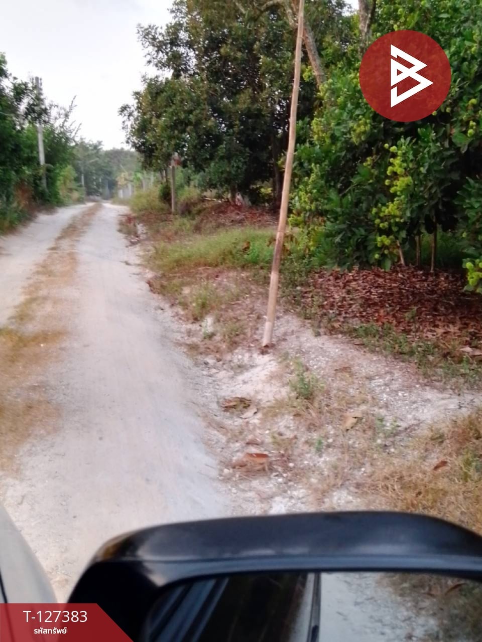 ขายที่ดินพร้อมสวน เนื้อที่ 2 งาน บ้านแลง ระยอง 15
