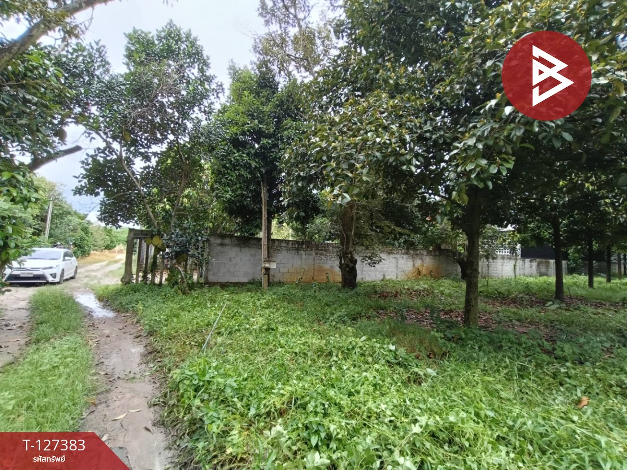 ขายที่ดินพร้อมสวน เนื้อที่ 2 งาน บ้านแลง ระยอง 2