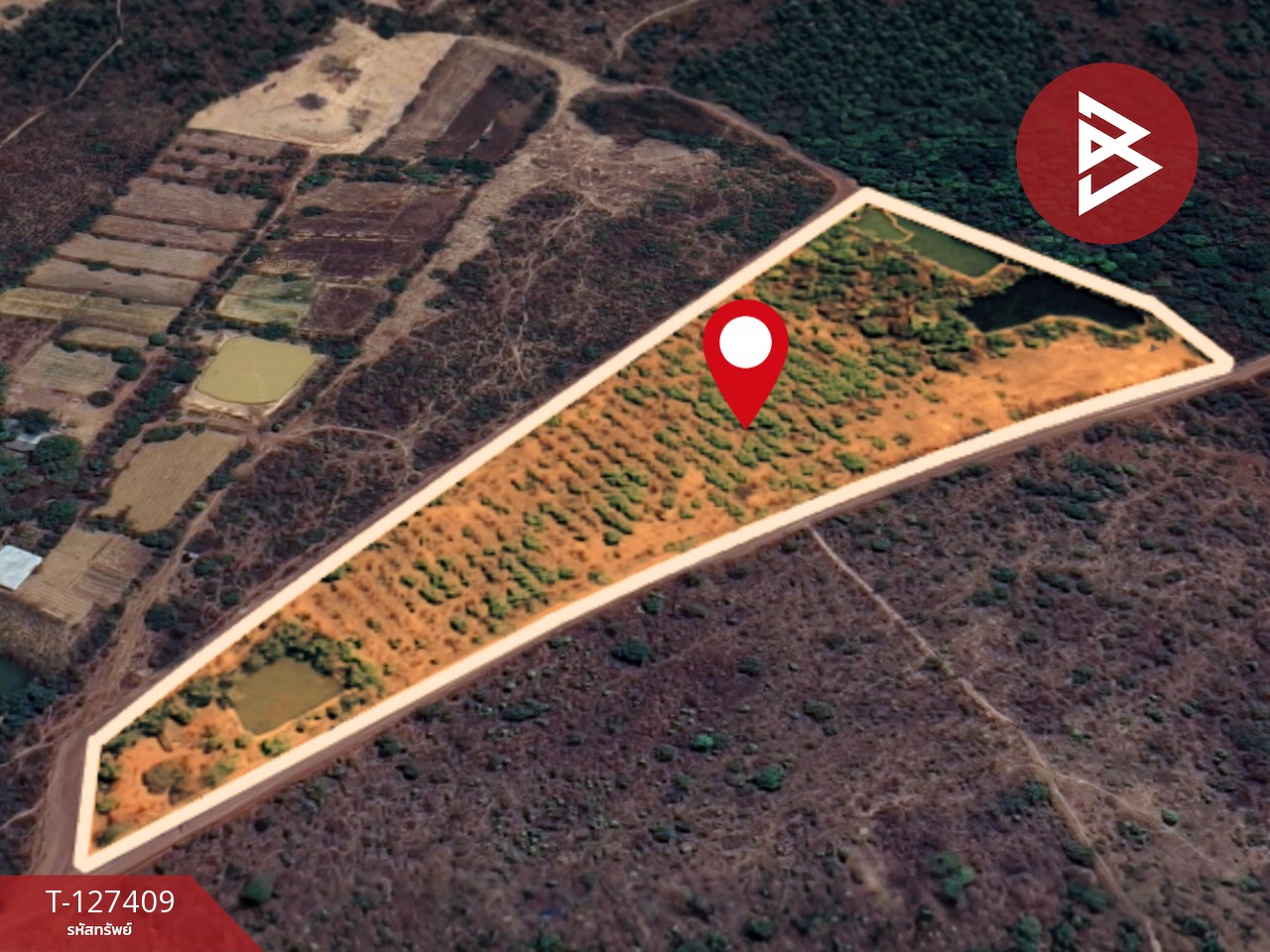 ขายที่ดิน เนื้อที่ 18 ไร่ 1 งาน 32 ตารางวา ต.โพธิ์ชัย หนองคาย 7