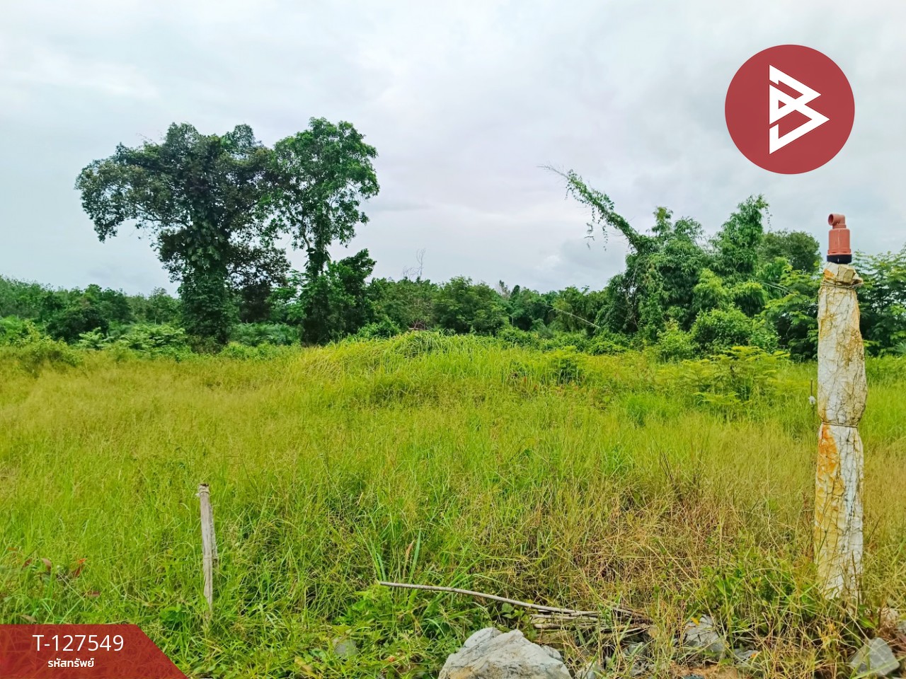 ขายที่ดิน เนื้อที่ 10 ไร่ 3 งาน 96 ตร.วา ท่ากุ่ม ตราด 2