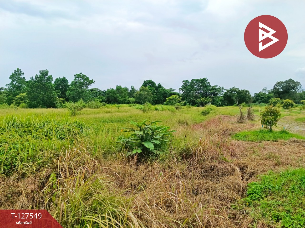 ขายที่ดิน เนื้อที่ 10 ไร่ 3 งาน 96 ตร.วา ท่ากุ่ม ตราด 9