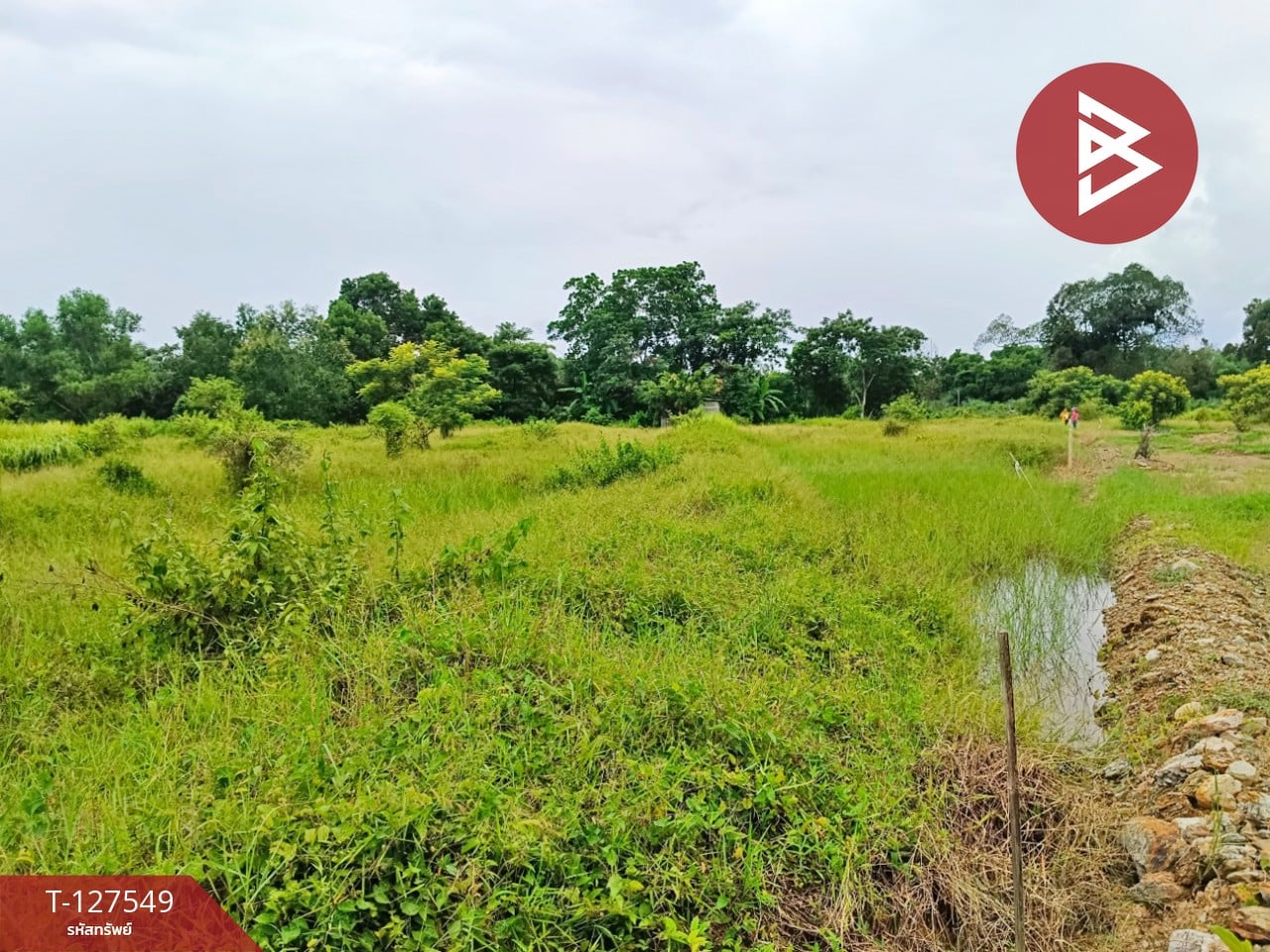 ขายที่ดิน เนื้อที่ 10 ไร่ 3 งาน 96 ตร.วา ท่ากุ่ม ตราด 3