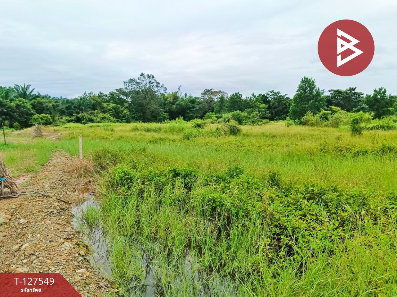 ขายที่ดิน เนื้อที่ 10 ไร่ 3 งาน 96 ตร.วา ท่ากุ่ม ตราด 1