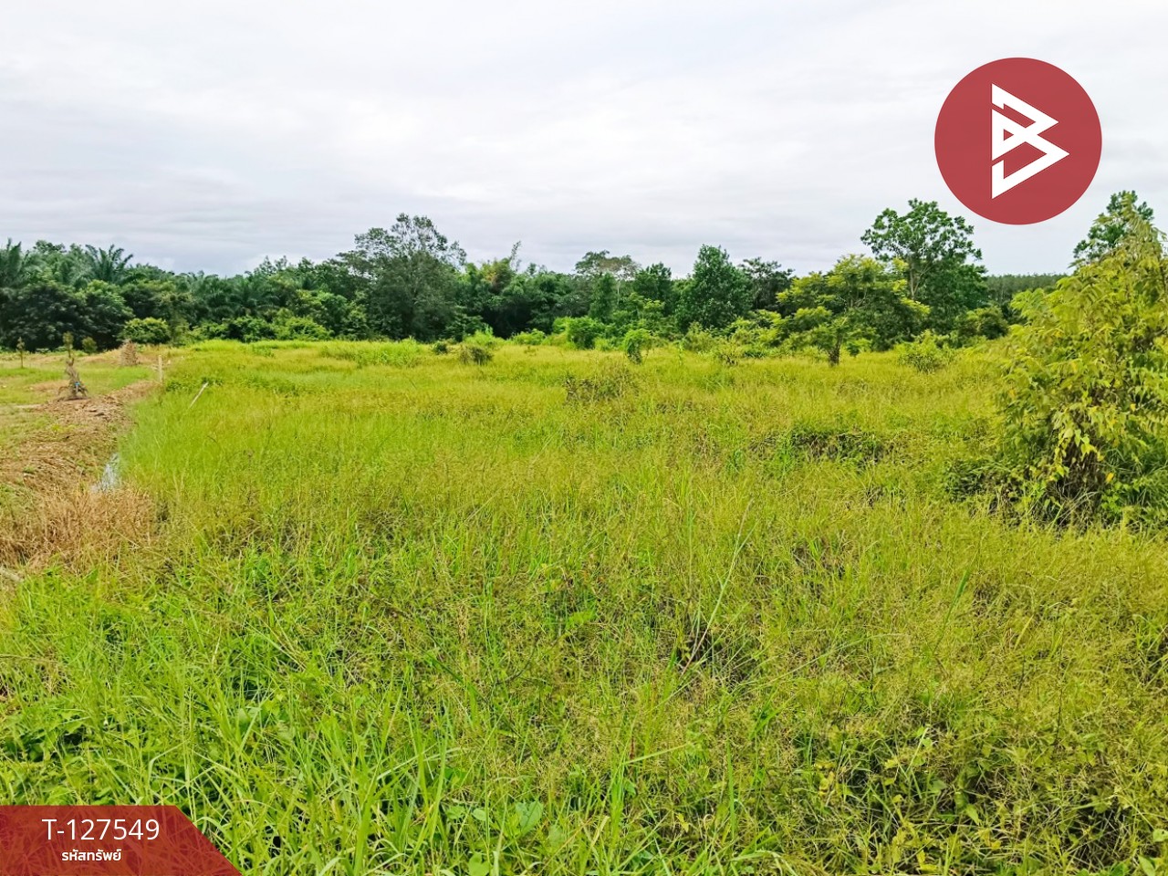 ขายที่ดิน เนื้อที่ 10 ไร่ 3 งาน 96 ตร.วา ท่ากุ่ม ตราด 6