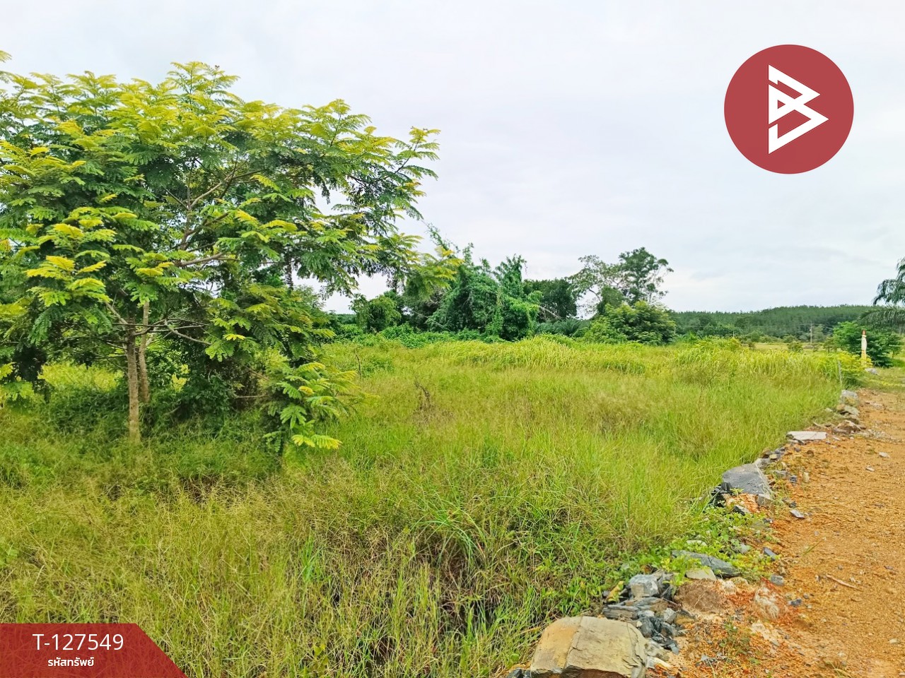 ขายที่ดิน เนื้อที่ 10 ไร่ 3 งาน 96 ตร.วา ท่ากุ่ม ตราด 7