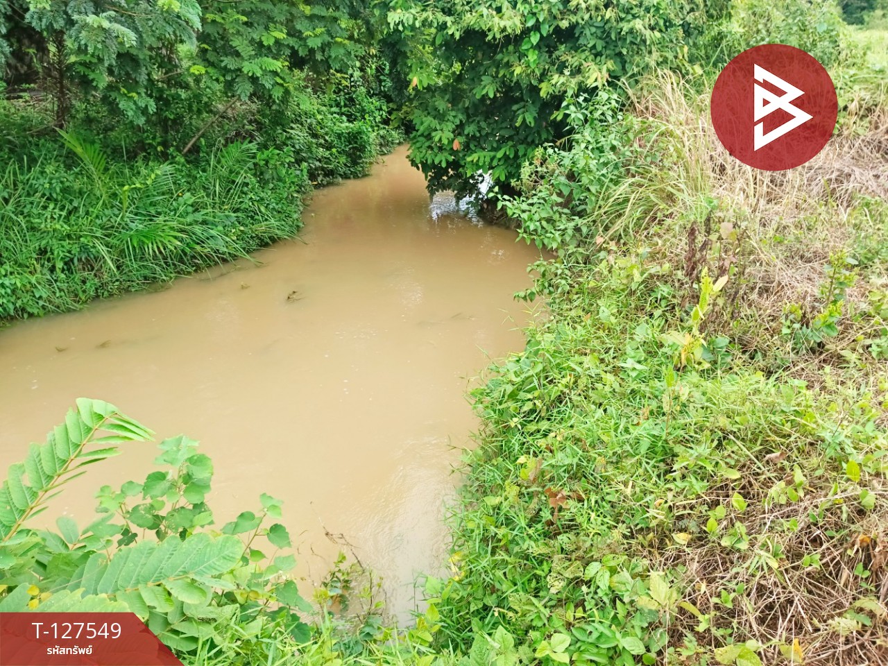 ขายที่ดิน เนื้อที่ 10 ไร่ 3 งาน 96 ตร.วา ท่ากุ่ม ตราด 11