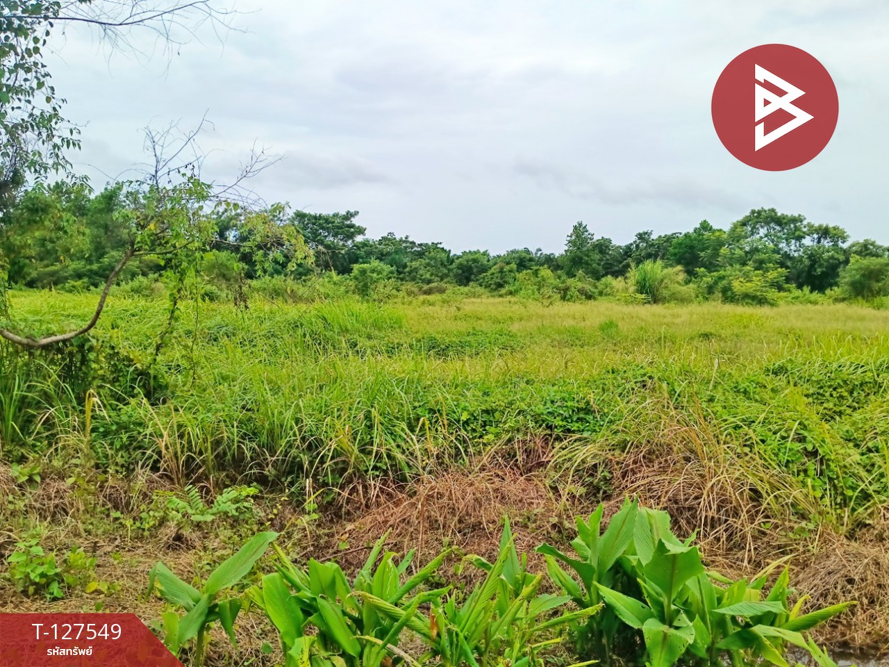 ขายที่ดิน เนื้อที่ 10 ไร่ 3 งาน 96 ตร.วา ท่ากุ่ม ตราด 10