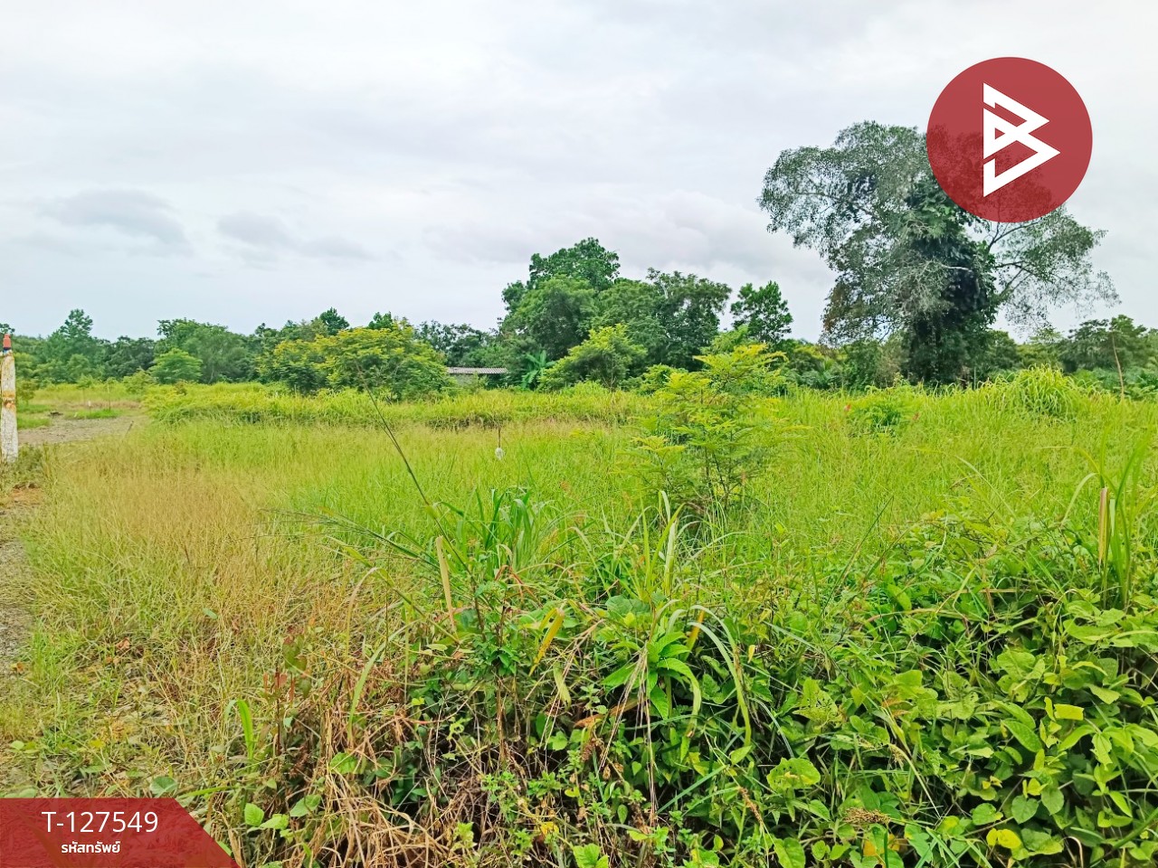 ขายที่ดิน เนื้อที่ 10 ไร่ 3 งาน 96 ตร.วา ท่ากุ่ม ตราด 5