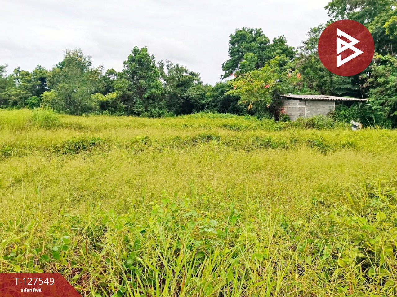 ขายที่ดิน เนื้อที่ 10 ไร่ 3 งาน 96 ตร.วา ท่ากุ่ม ตราด 8