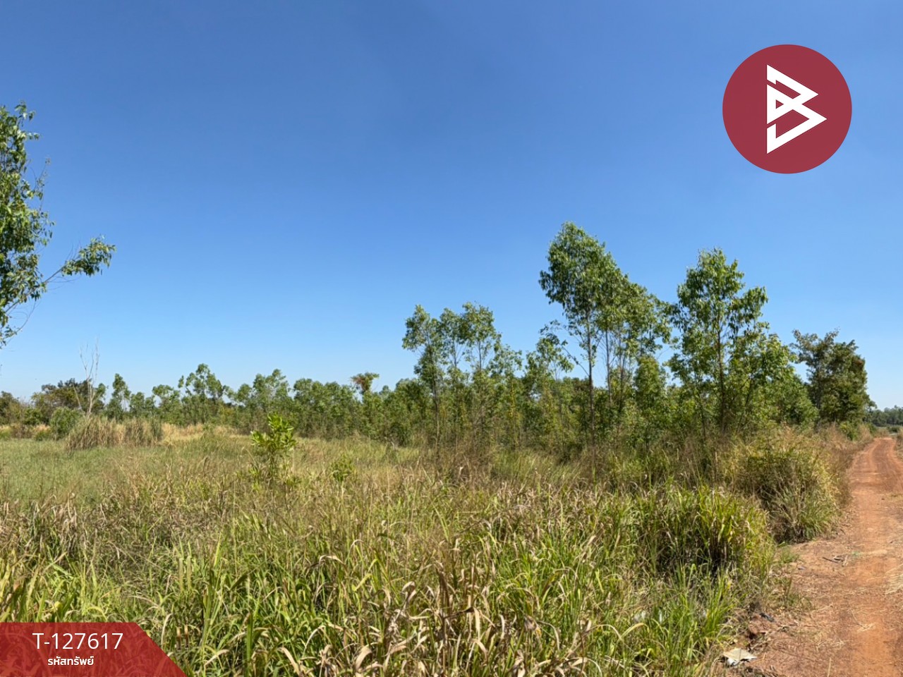 ขายที่ดิน เนื้อที่ 34 ไร่ 1 งาน 75 ตร.วา กบินทร์บุรี ปราจีนบุรี 2