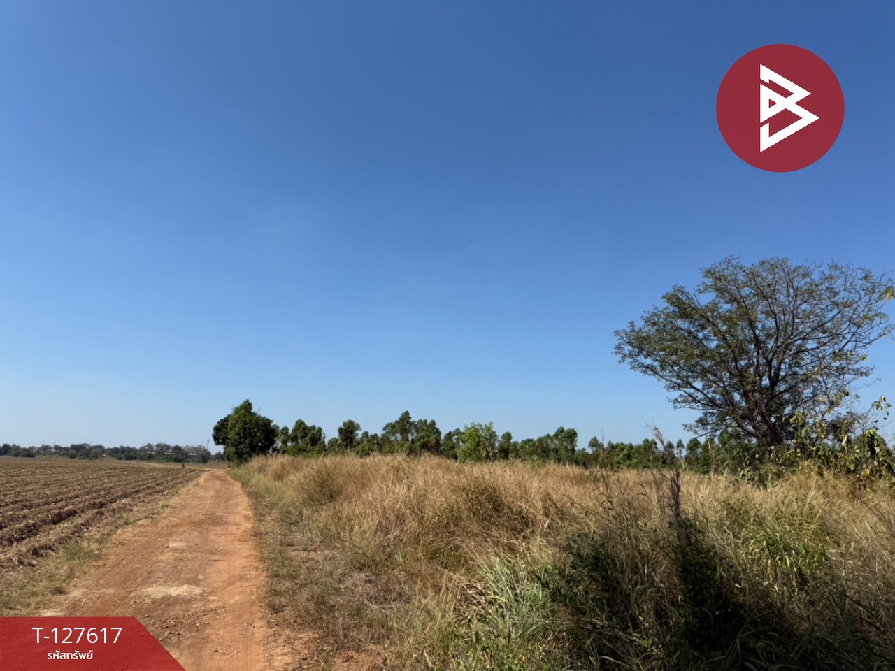 ขายที่ดิน เนื้อที่ 34 ไร่ 1 งาน 75 ตร.วา กบินทร์บุรี ปราจีนบุรี 1