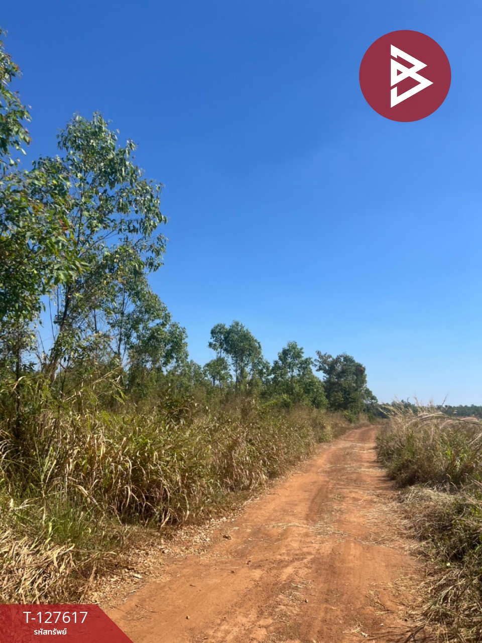 ขายที่ดิน เนื้อที่ 34 ไร่ 1 งาน 75 ตร.วา กบินทร์บุรี ปราจีนบุรี 4