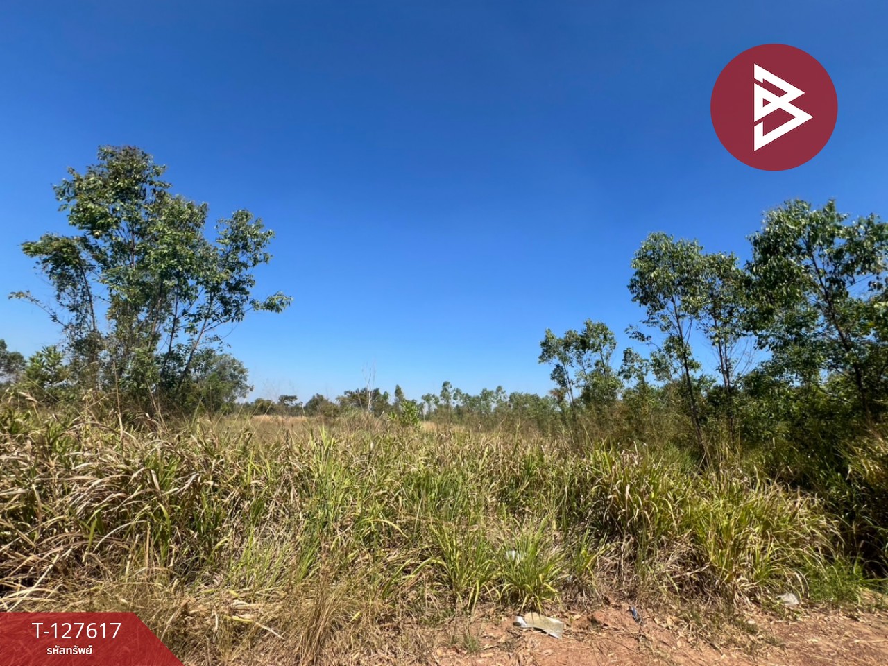 ขายที่ดิน เนื้อที่ 34 ไร่ 1 งาน 75 ตร.วา กบินทร์บุรี ปราจีนบุรี 3