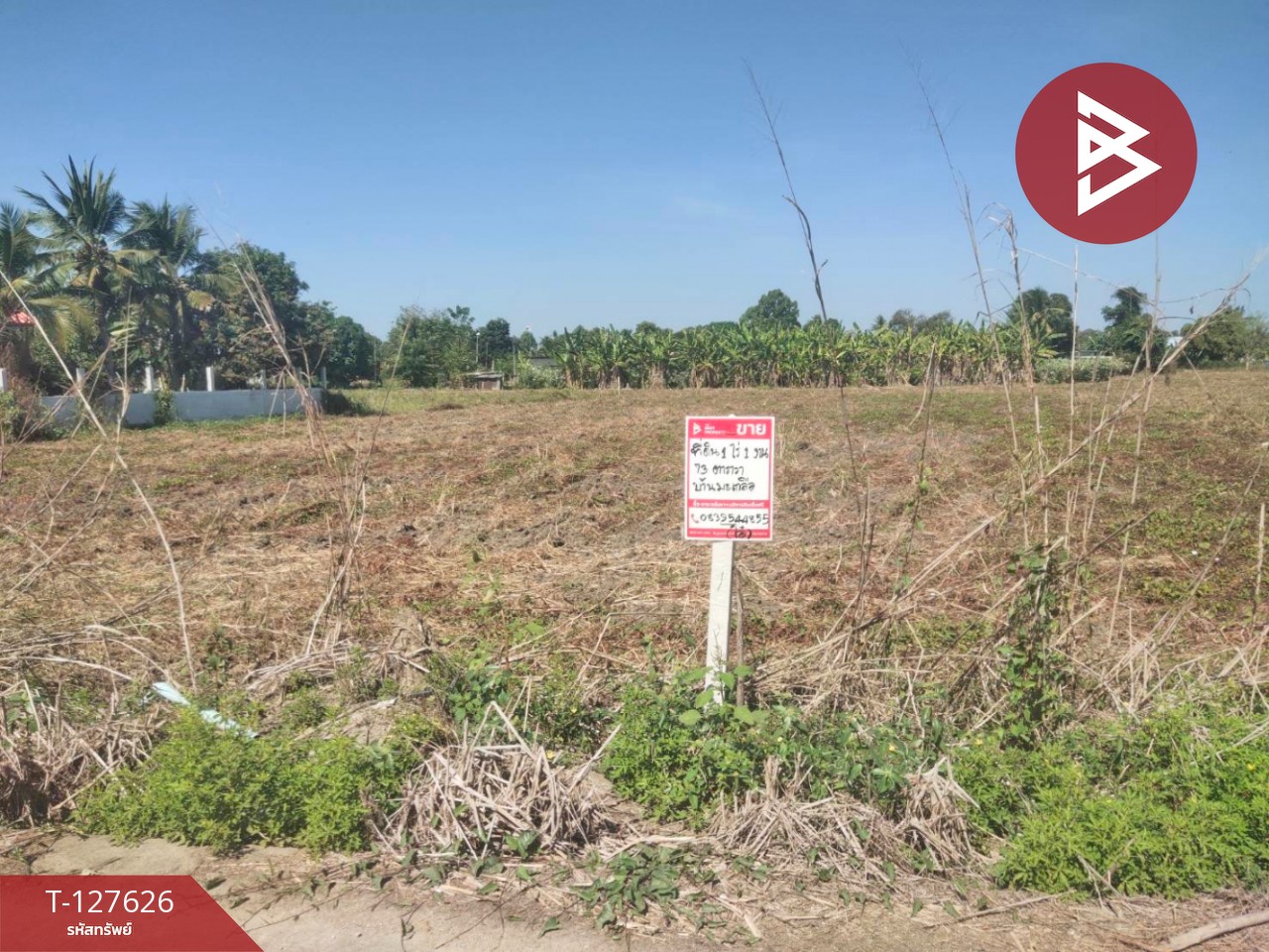 ขายที่ดิน เนื้อที่ 1 ไร่ 1 งาน 73.4 ตร.วา บ้านมะเกลือ นครสวรรค์ 12