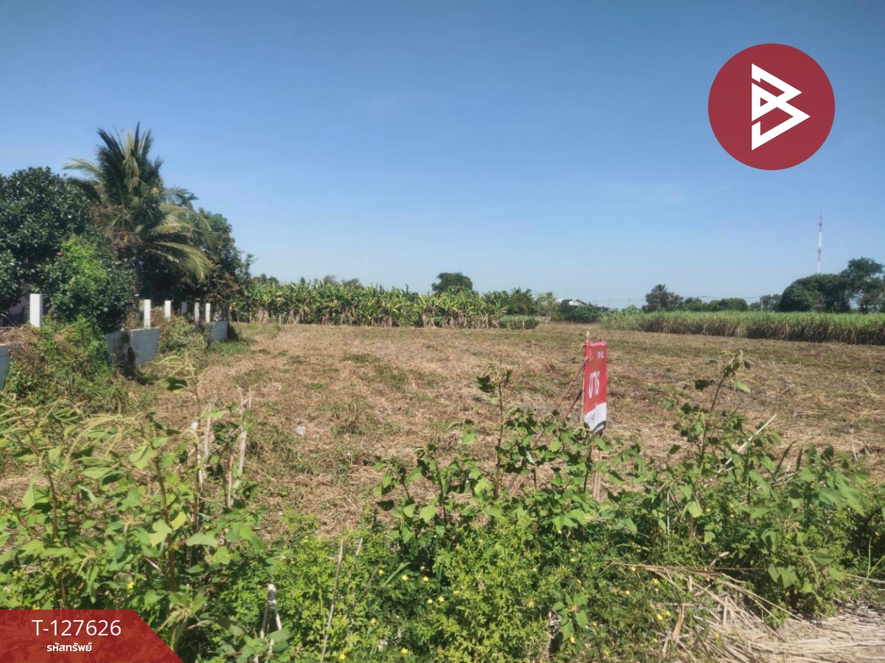 ขายที่ดิน เนื้อที่ 1 ไร่ 1 งาน 73.4 ตร.วา บ้านมะเกลือ นครสวรรค์ 9