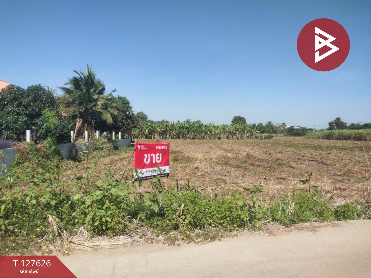 ขายที่ดิน เนื้อที่ 1 ไร่ 1 งาน 73.4 ตร.วา บ้านมะเกลือ นครสวรรค์ 10