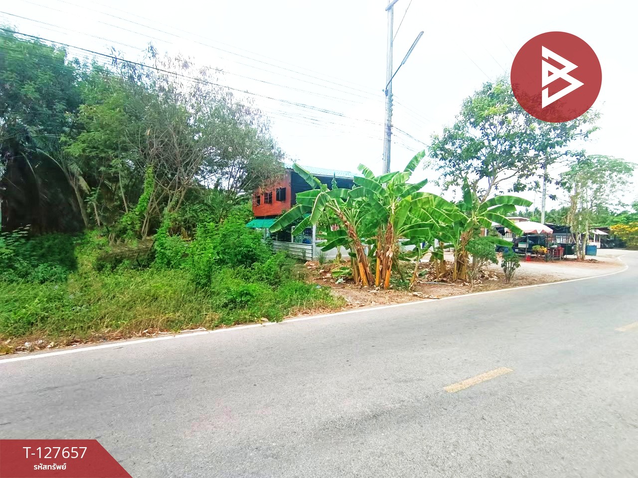 ขายที่ดิน เนื้อที่ 2 งาน 14 ตร.วา บ้านปรก สมุทรสงคราม 11