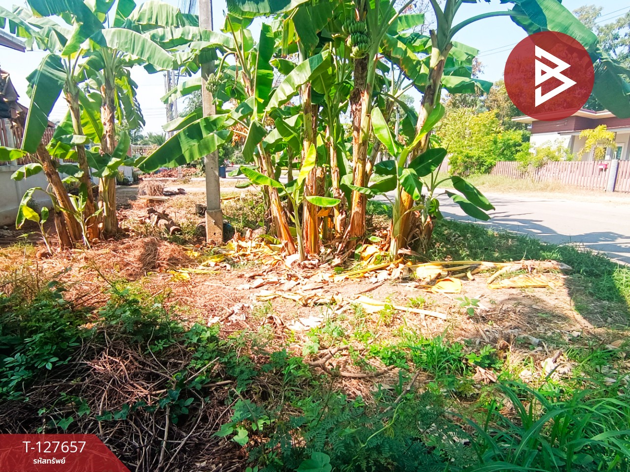 ขายที่ดิน เนื้อที่ 2 งาน 14 ตร.วา บ้านปรก สมุทรสงคราม 12