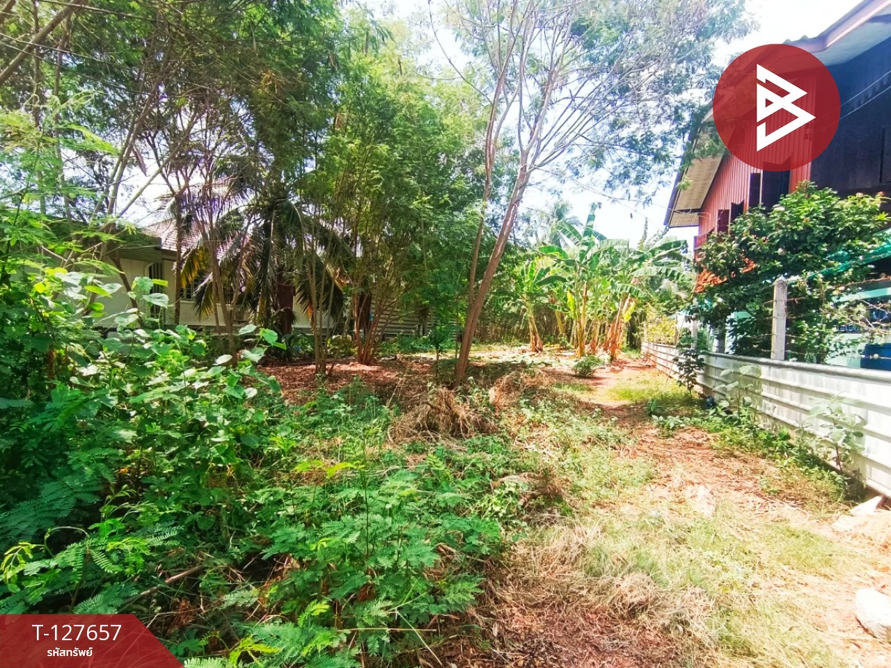 ขายที่ดิน เนื้อที่ 2 งาน 14 ตร.วา บ้านปรก สมุทรสงคราม 7