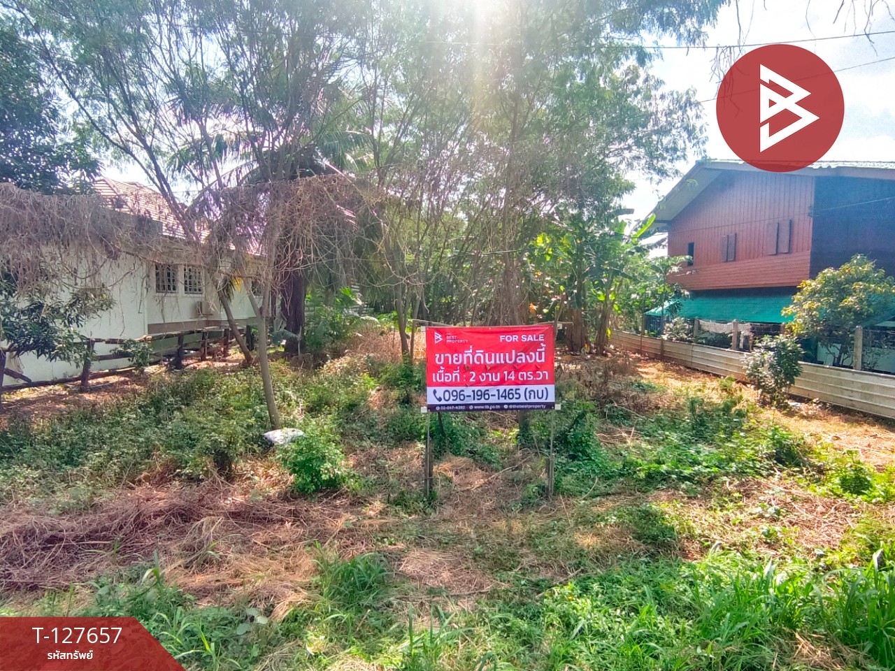 ขายที่ดิน เนื้อที่ 2 งาน 14 ตร.วา บ้านปรก สมุทรสงคราม 1