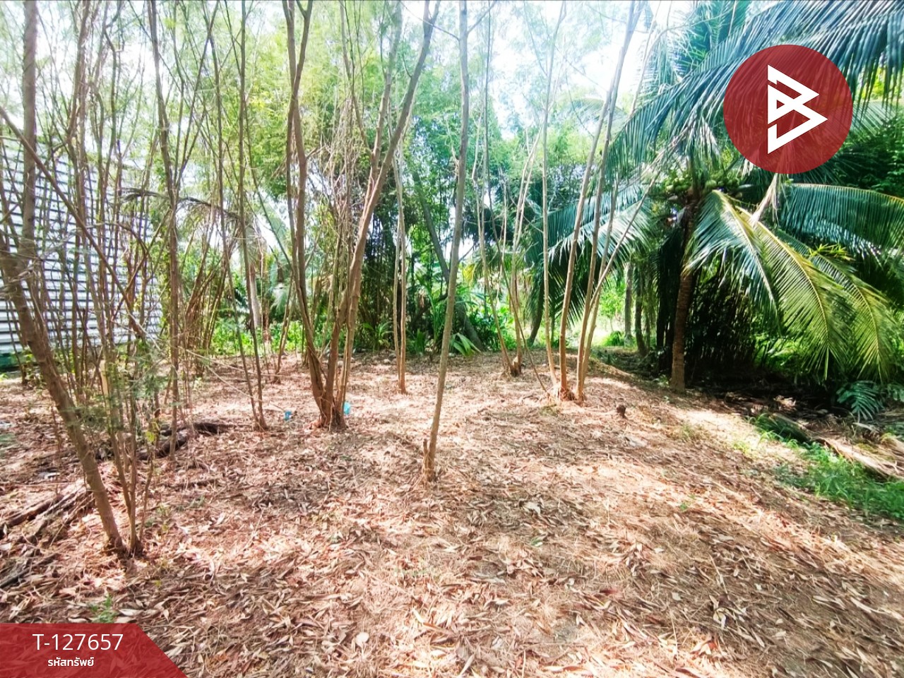 ขายที่ดิน เนื้อที่ 2 งาน 14 ตร.วา บ้านปรก สมุทรสงคราม 8