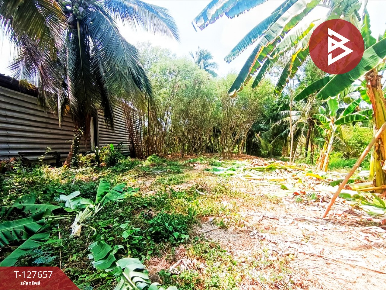 ขายที่ดิน เนื้อที่ 2 งาน 14 ตร.วา บ้านปรก สมุทรสงคราม 10