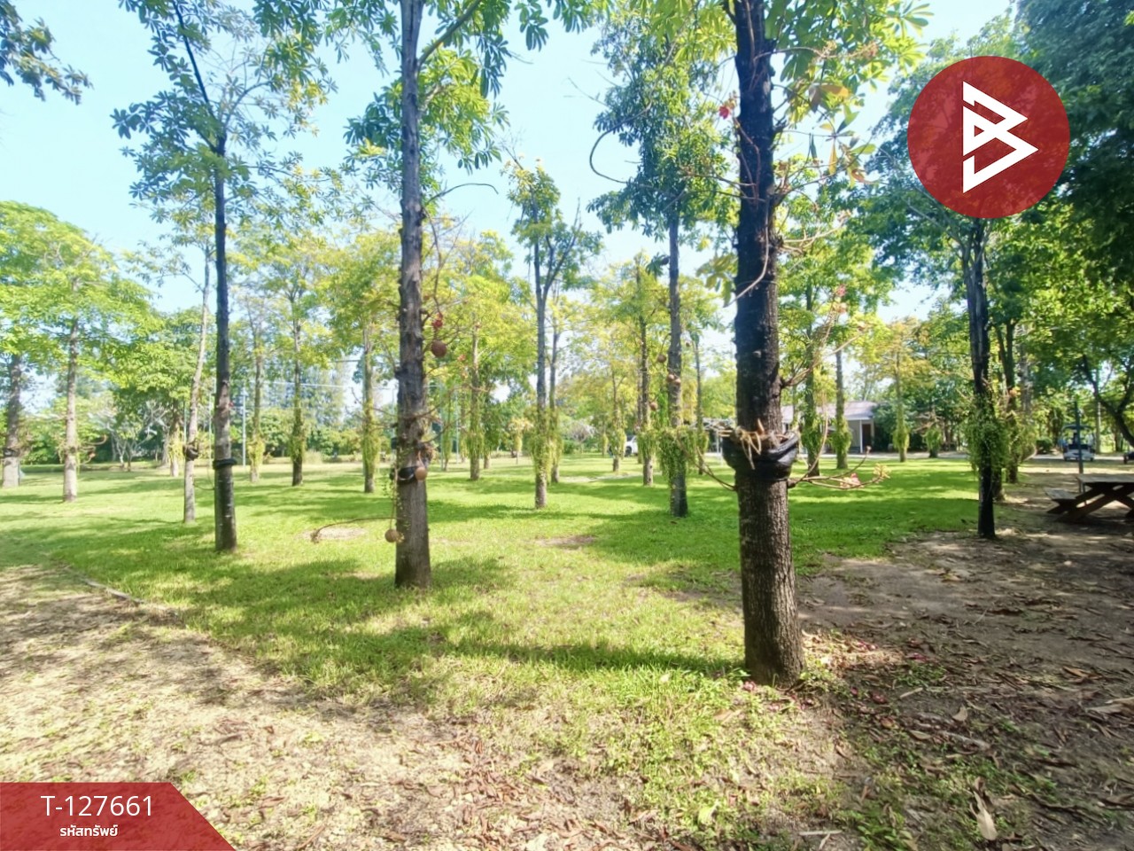 ขายที่ดินพร้อมสิ่งปลูกสร้าง เนื้อที่ 4 ไร่ 3 งาน 78 ตร.วา ดอนตูม นครปฐม 14