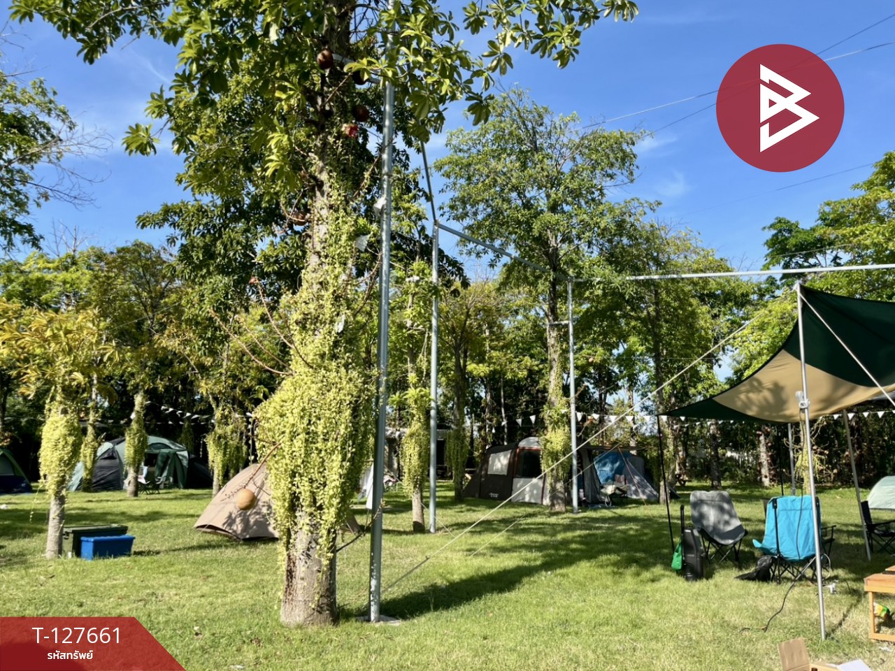 ขายที่ดินพร้อมสิ่งปลูกสร้าง เนื้อที่ 4 ไร่ 3 งาน 78 ตร.วา ดอนตูม นครปฐม 7