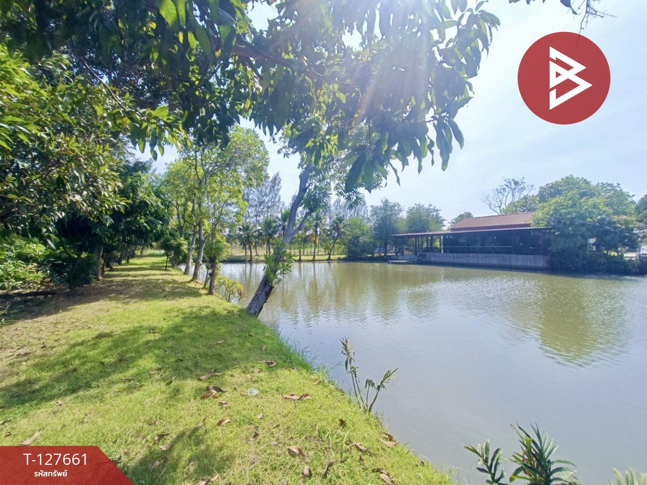 ขายที่ดินพร้อมสิ่งปลูกสร้าง เนื้อที่ 4 ไร่ 3 งาน 78 ตร.วา ดอนตูม นครปฐม 12