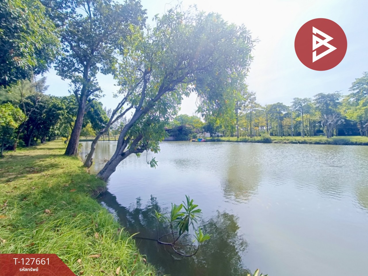 ขายที่ดินพร้อมสิ่งปลูกสร้าง เนื้อที่ 4 ไร่ 3 งาน 78 ตร.วา ดอนตูม นครปฐม 10