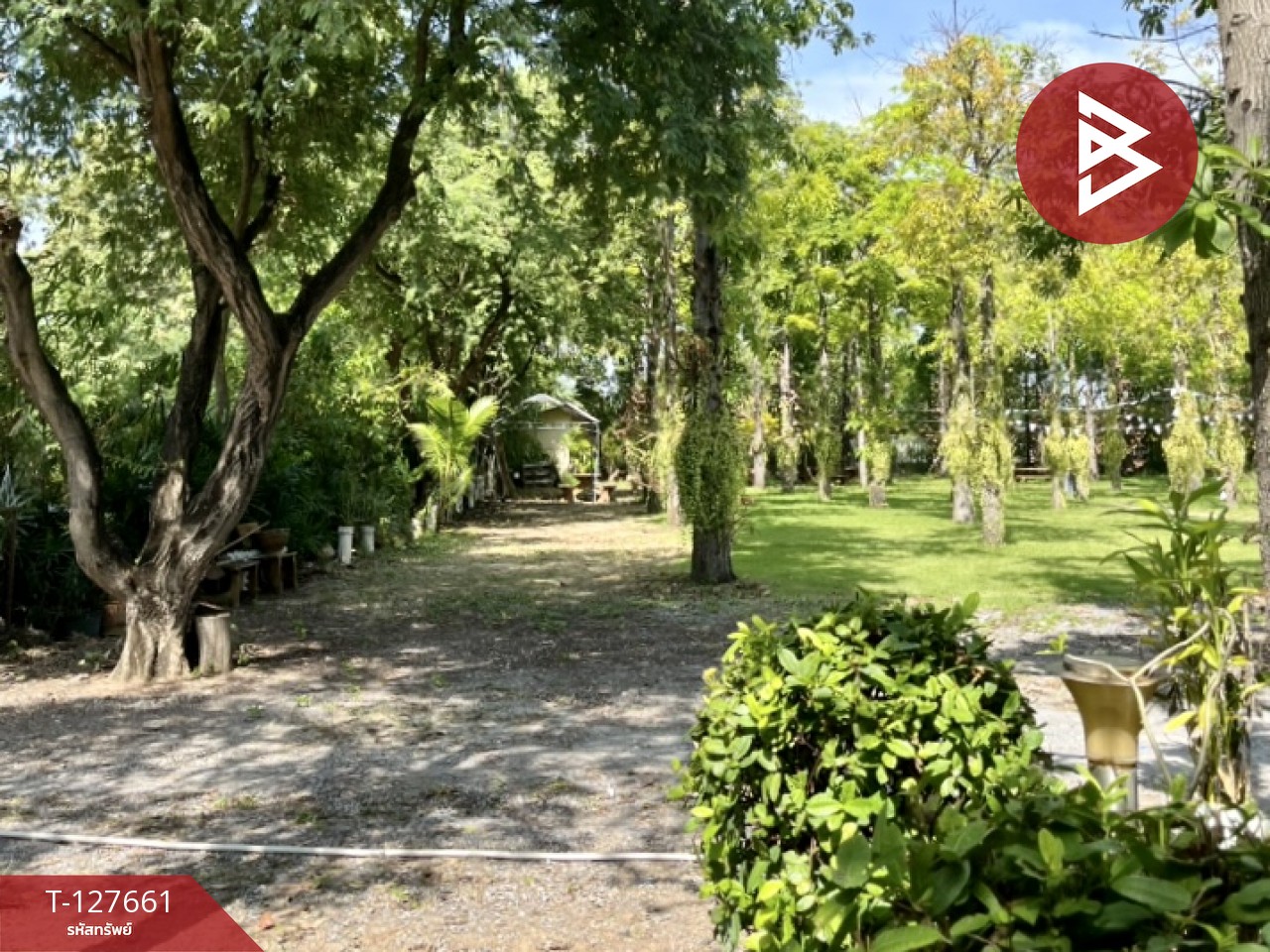 ขายที่ดินพร้อมสิ่งปลูกสร้าง เนื้อที่ 4 ไร่ 3 งาน 78 ตร.วา ดอนตูม นครปฐม 8