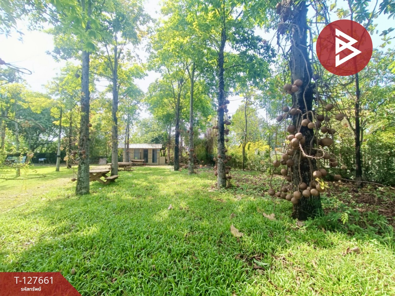 ขายที่ดินพร้อมสิ่งปลูกสร้าง เนื้อที่ 4 ไร่ 3 งาน 78 ตร.วา ดอนตูม นครปฐม 13