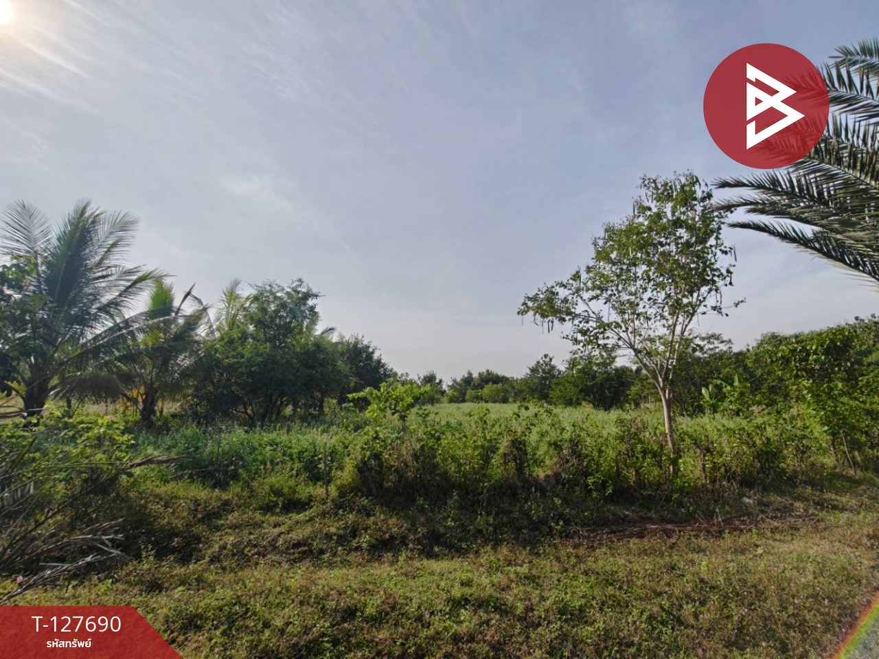 ขายที่ดินพร้อมสวน เนื้อที่ 30 ไร่ 3 งาน 86 ตร.วา หล่มสัก เพชรบูรณ์ 10