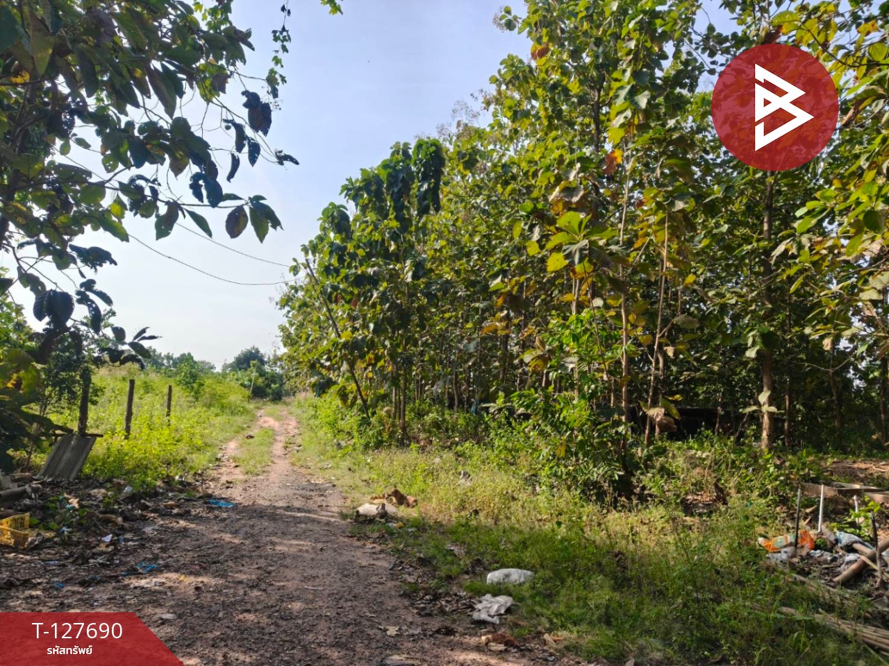 ขายที่ดินพร้อมสวน เนื้อที่ 30 ไร่ 3 งาน 86 ตร.วา หล่มสัก เพชรบูรณ์ 7