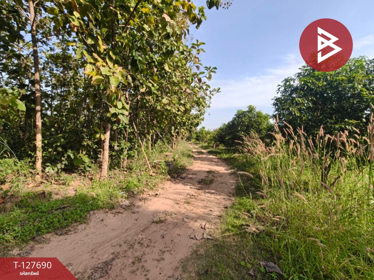 ขายที่ดินพร้อมสวน เนื้อที่ 30 ไร่ 3 งาน 86 ตร.วา หล่มสัก เพชรบูรณ์ 5