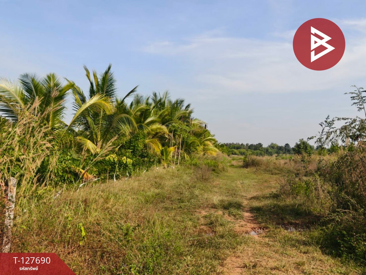 ขายที่ดินพร้อมสวน เนื้อที่ 30 ไร่ 3 งาน 86 ตร.วา หล่มสัก เพชรบูรณ์ 4