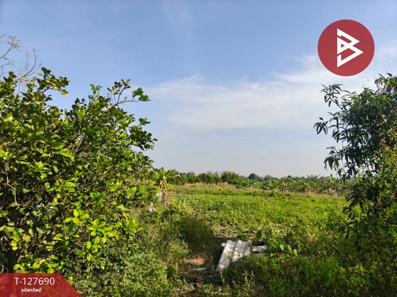 ขายที่ดินพร้อมสวน เนื้อที่ 30 ไร่ 3 งาน 86 ตร.วา หล่มสัก เพชรบูรณ์ 12